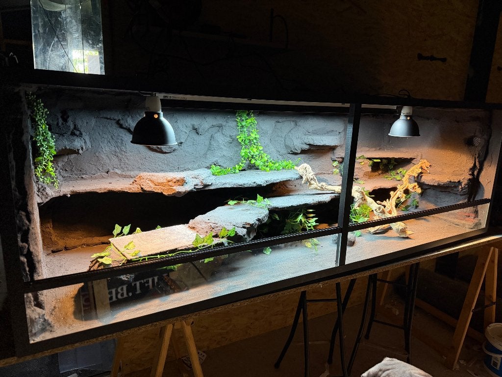 Complete terrarium 200x60x60 (stockmodel -30%), Enlèvement, Neuf, Terrarium ou Paludarium