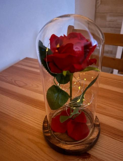 Rose éternelle - La belle et la bête - Disney, Enlèvement ou Envoi, Cendrillon ou Belle, Comme neuf, Statue ou Figurine