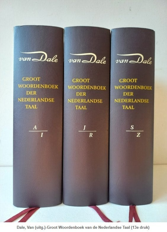 Van Dale Groot woordenboek der Nederlandse taal - - 13e druk, Boeken, Woordenboeken, Ophalen of Verzenden, Zo goed als nieuw, Van Dale