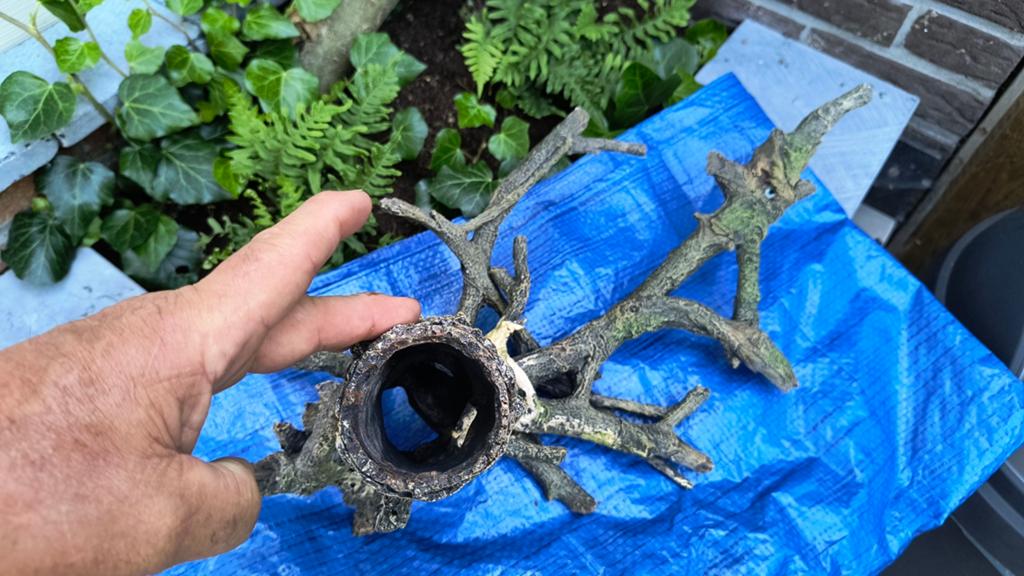 Aquarium ornament, Ophalen