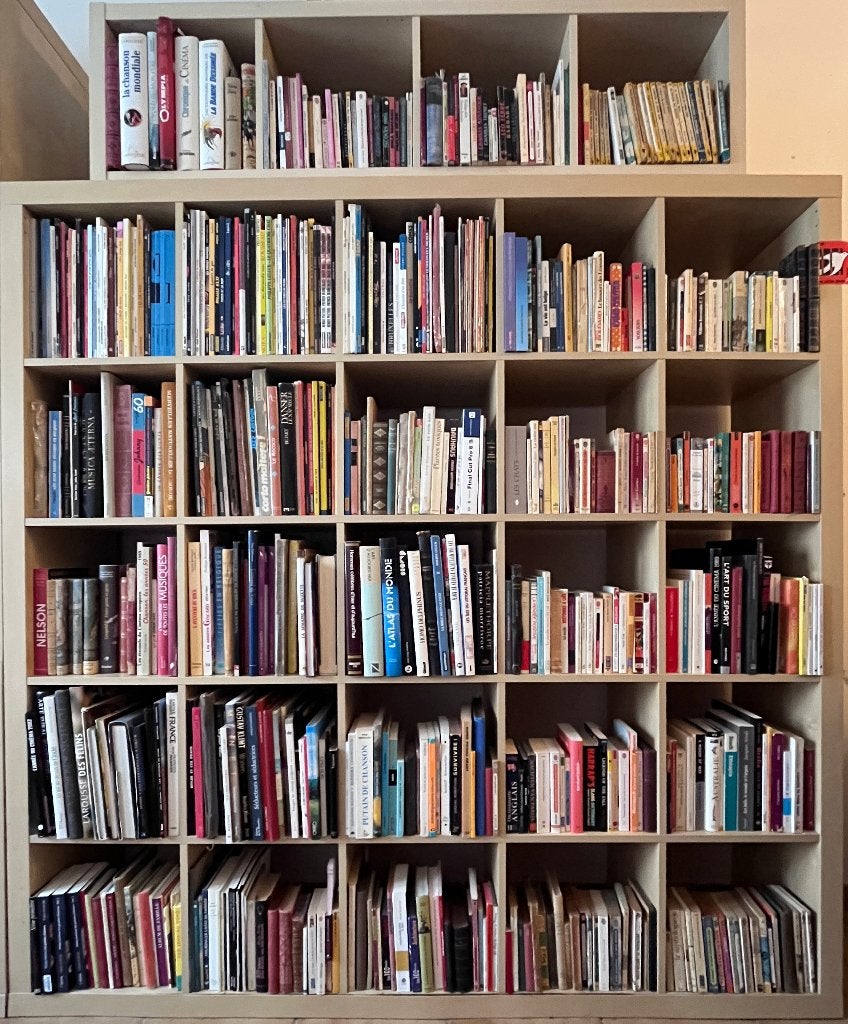 Lot van ongeveer 360 boeken (kunst, strips, pocket, ...), Boeken, Ophalen, Gelezen