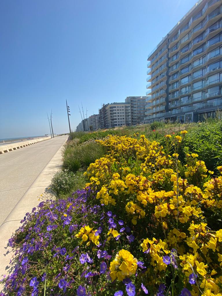 Westende zeedijk appartement,2 slaapkamers