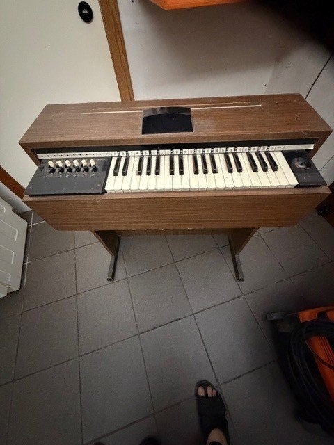 kinder orgel elektrisch, Ophalen, Gebruikt, 1 klavier, Orgel