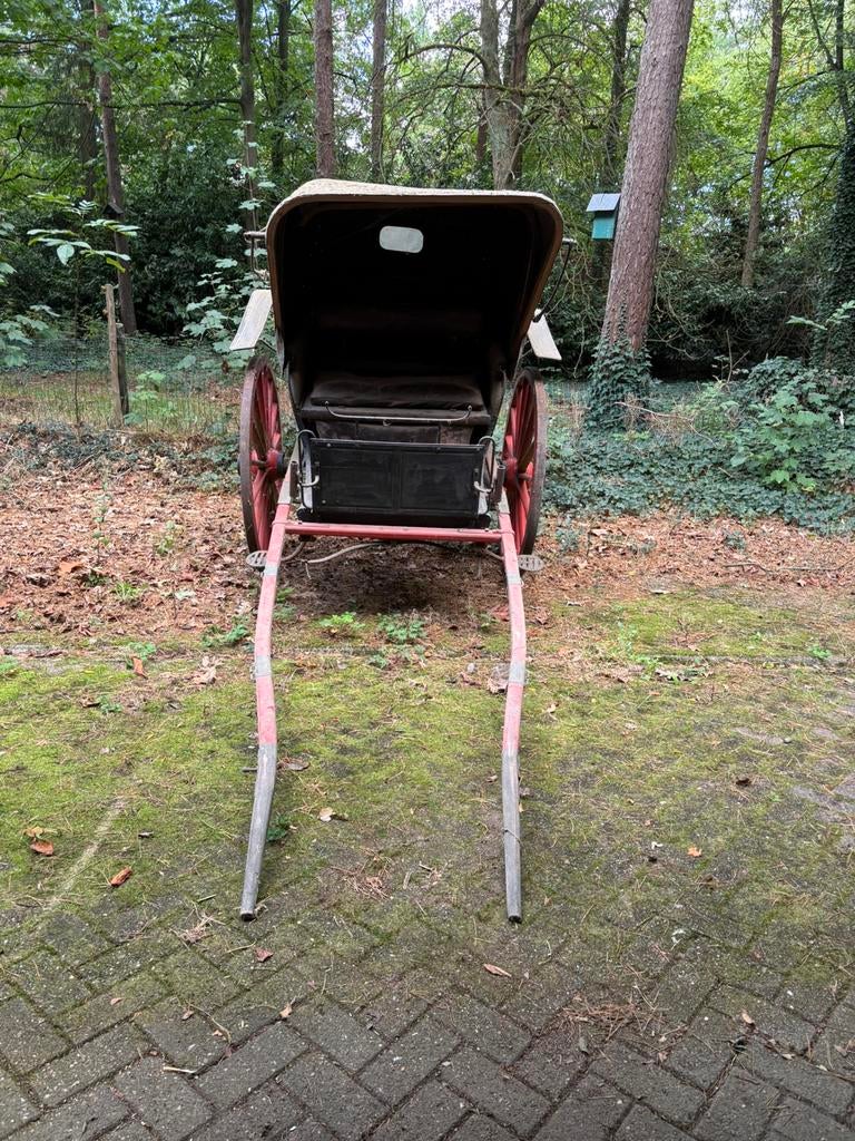 Antieke tweewielige koets, Dieren en Toebehoren, Gebruikt