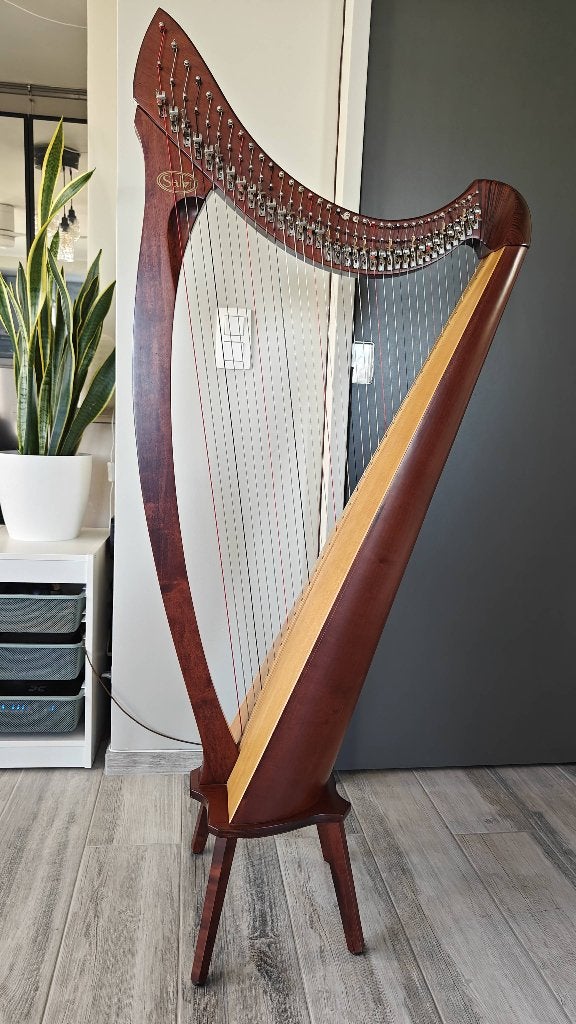 Harpe celtique Salvi Nicoletta, Enlèvement, Utilisé