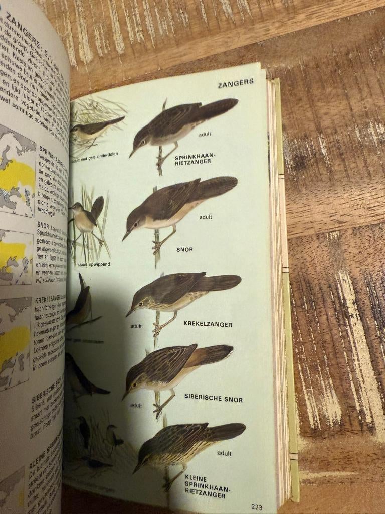 De Europese vogels in kleur, gids voor alle vogels van Euro, Enlèvement ou Envoi, H. Heinze, R.S.R. Fitter, J.F. Parslow, Utilisé