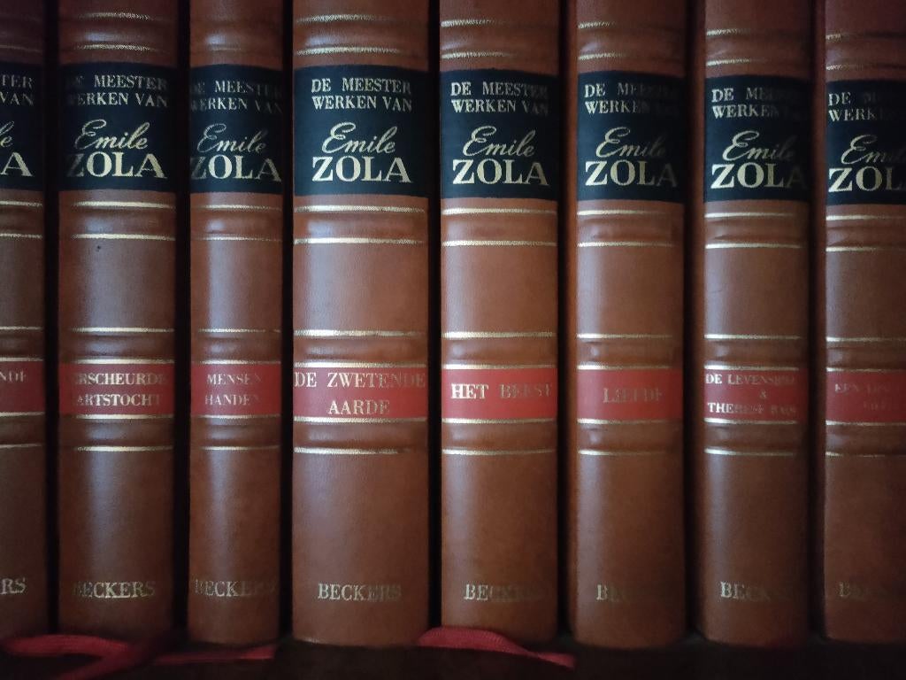 De volledige werken van Emile Zola in 24 delen, luxe-editie, Ophalen, Zo goed als nieuw, België