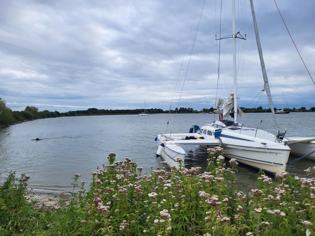 Dragonfly 920 inklapbare trimaran met wegtrailer, Watersport en Boten, Ophalen of Verzenden