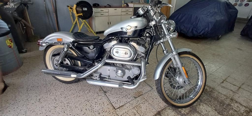 Harley Davidson 883 100 ème anniversaire, Particulier