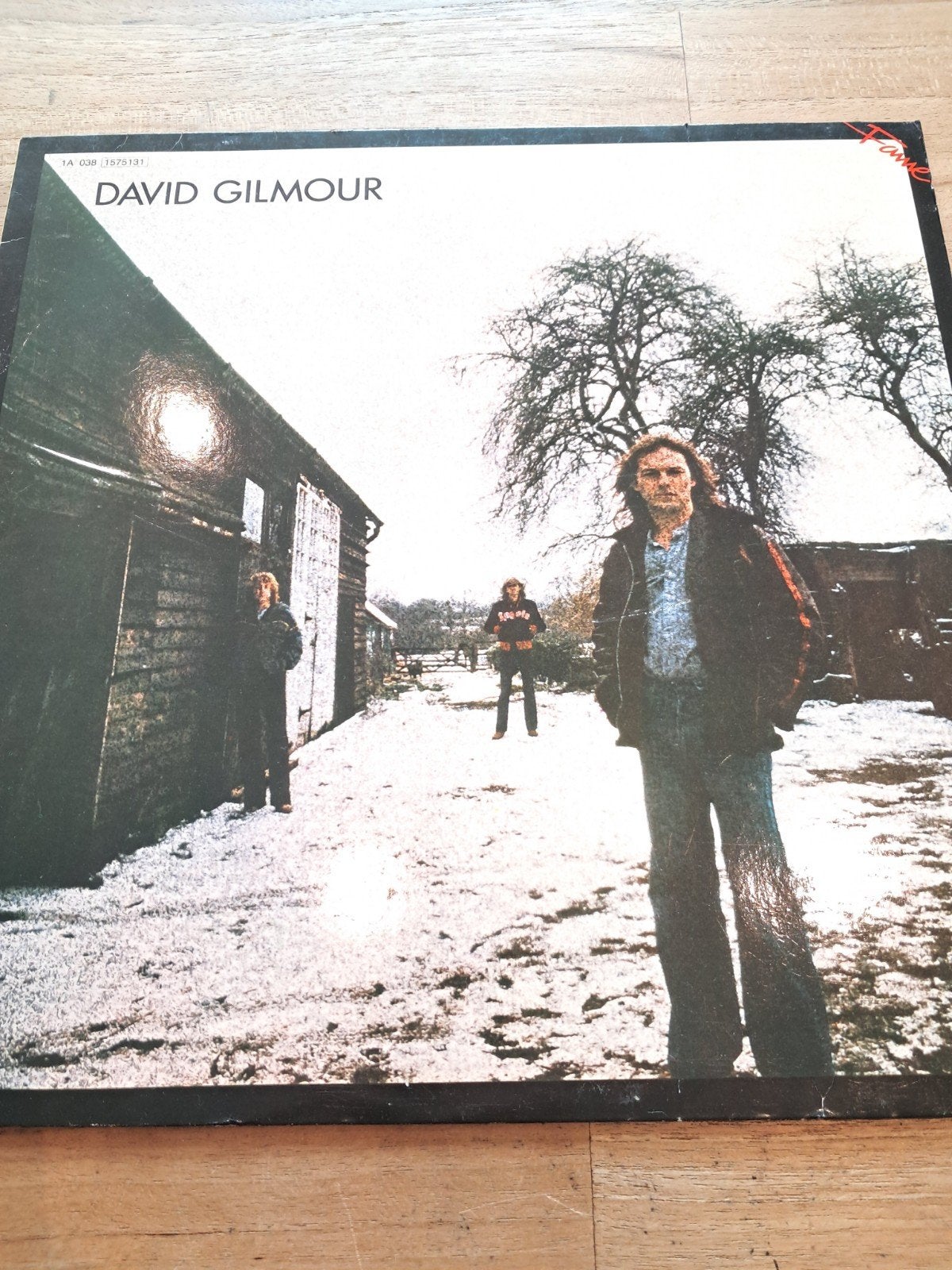 Lp David Gilmour, Gebruikt, 1970 - 1979, 12 inch, Fotohoes