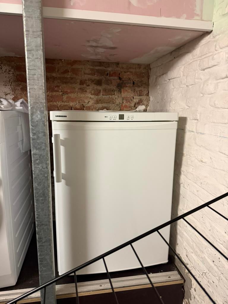 nieuwe no frost diepvries Liebherr GNP1066-21, Neuf, Congélateur, 85 à 120 cm, Enlèvement