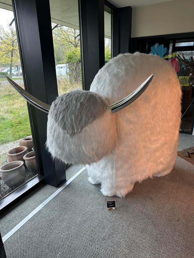 Pièce d’exception — Mammouth de collection, Collections, Enlèvement