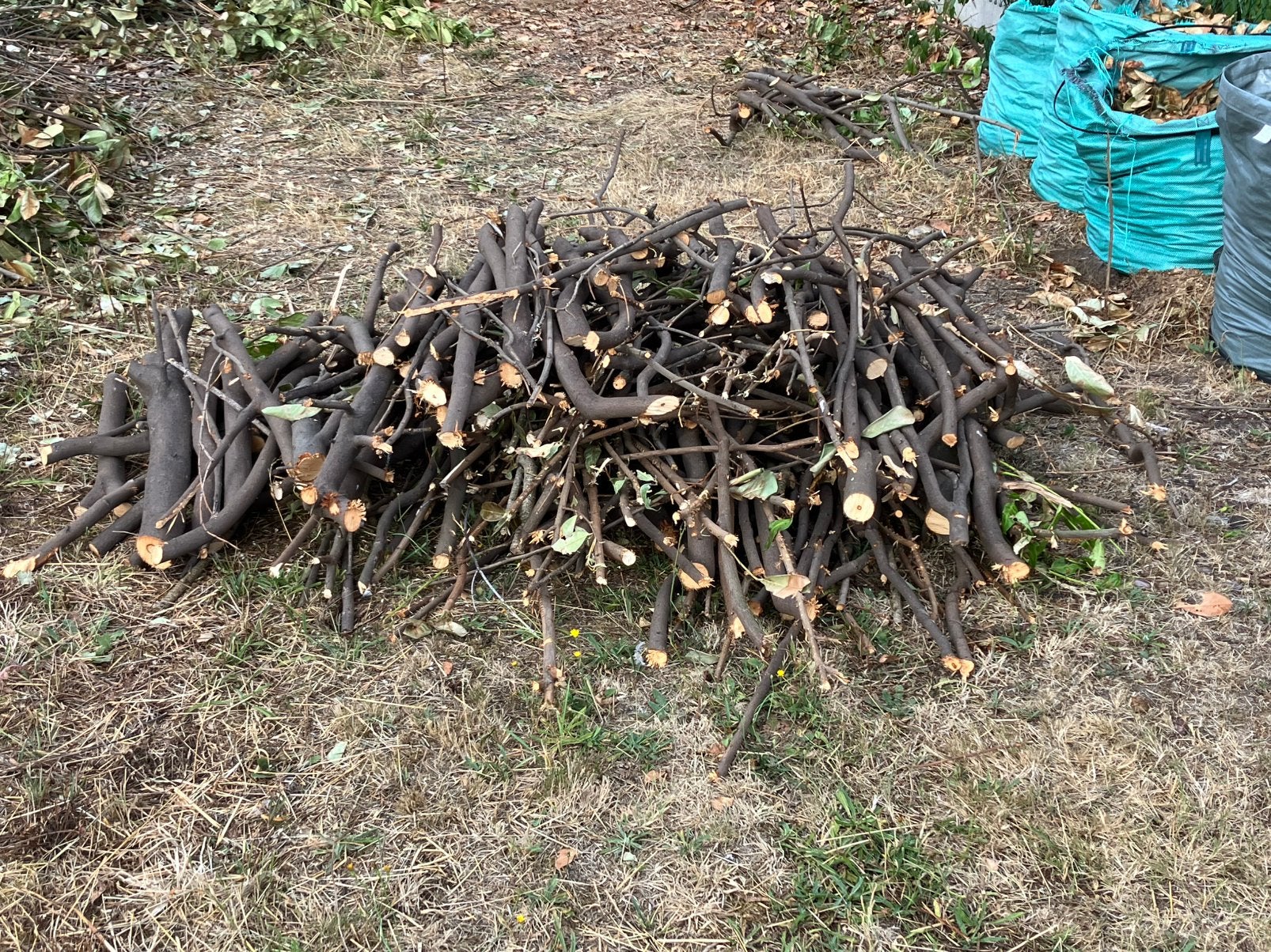 Gratis haardhout, Tuin en Terras, Brandhout, Minder dan 3 m³, Ophalen, Overige houtsoorten, Takken