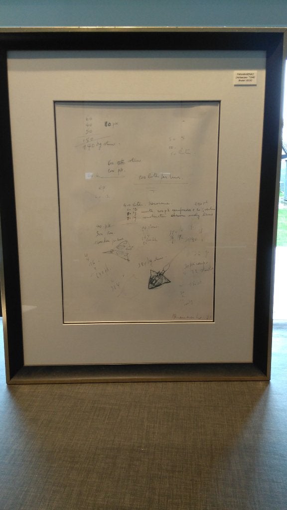 Panamarenko, Antiek en Kunst, Kunst | Litho's en Zeefdrukken, Ophalen