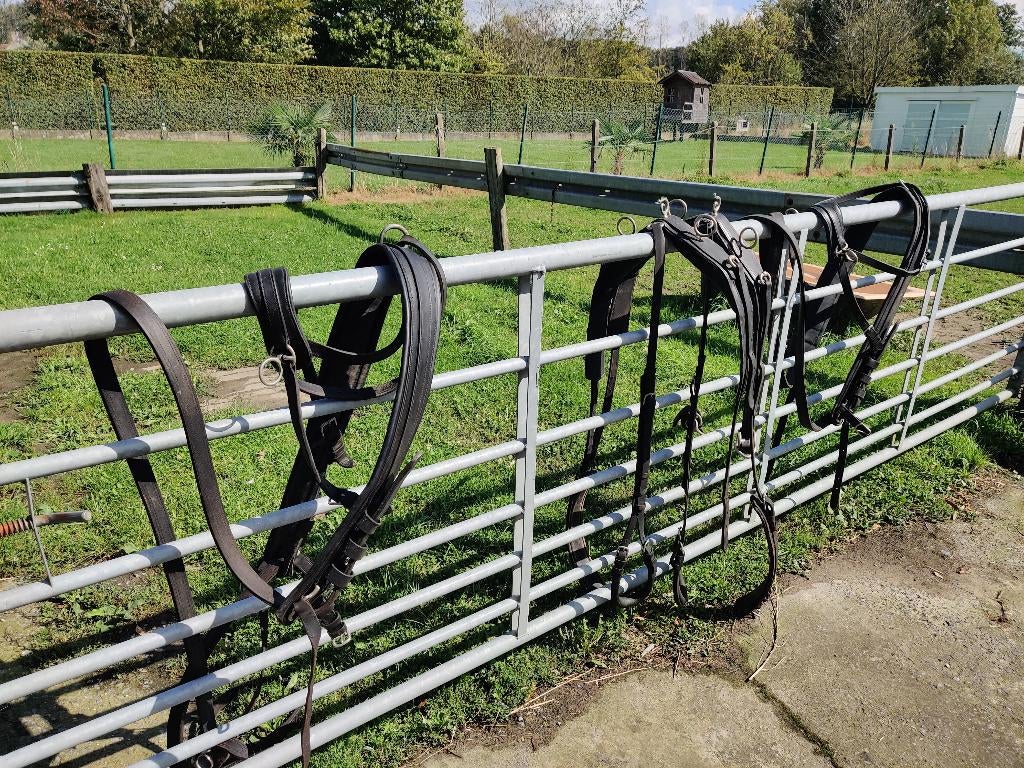 2span borst tuigen compleet, Dieren en Toebehoren, Ophalen, Gebruikt, Overige soorten