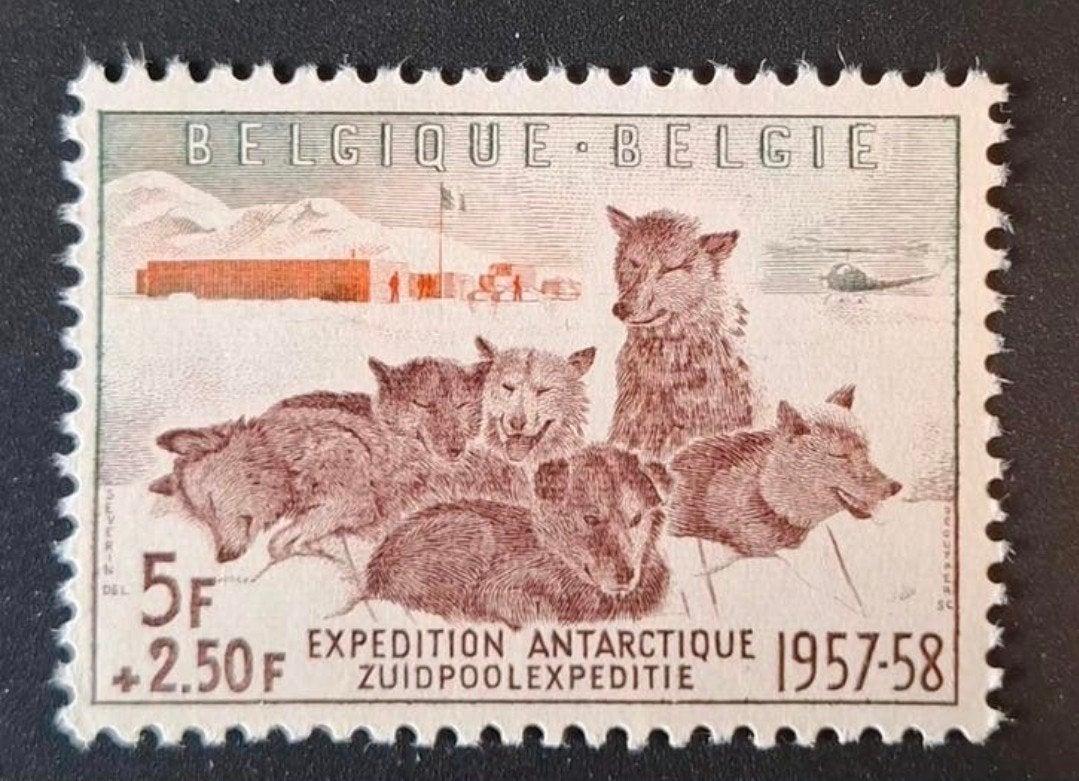 Belgique : COB 1030 ** Expédition Antartiques 1957, Sans timbre, Neuf, Enlèvement ou Envoi, Non oblitéré