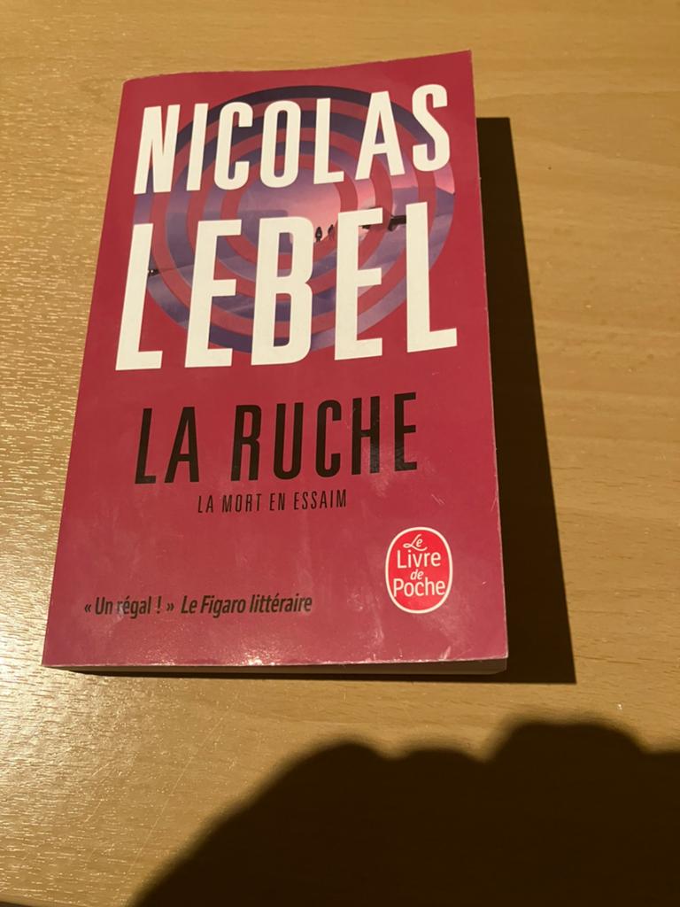 Poche Nicolas Lebel - La Ruche - Exc état, Livres, Enlèvement, Comme neuf