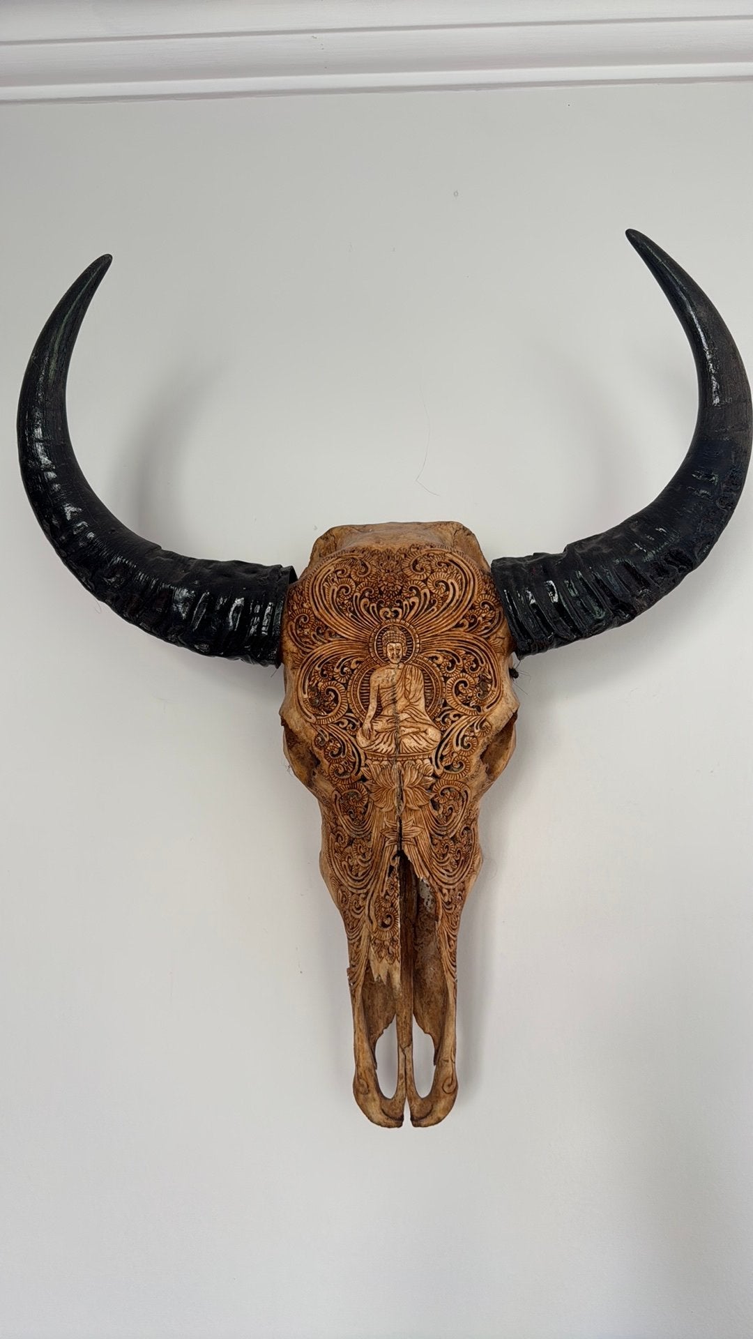 Gegraveerde buffel schedel, Ophalen, Boho, Zo goed als nieuw, 65 cm