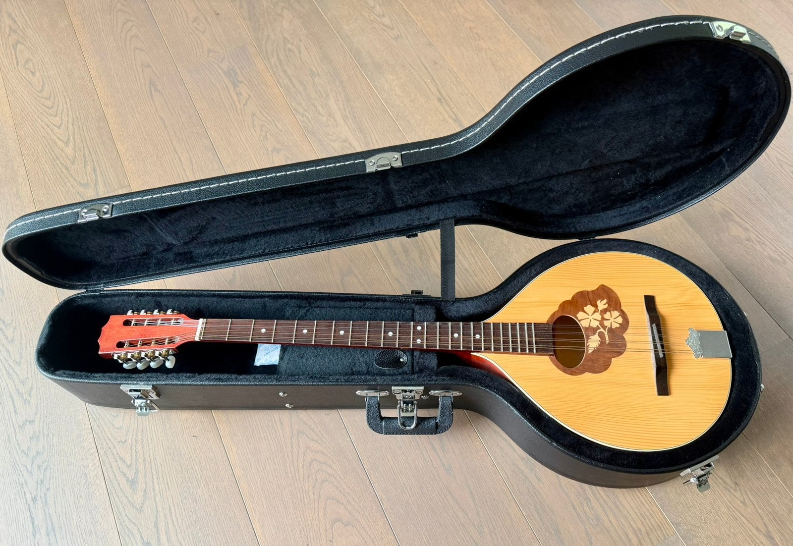 Bouzouki irlandais en étui + Bodhran, Musique & Instruments, Enlèvement, Comme neuf, Autres types