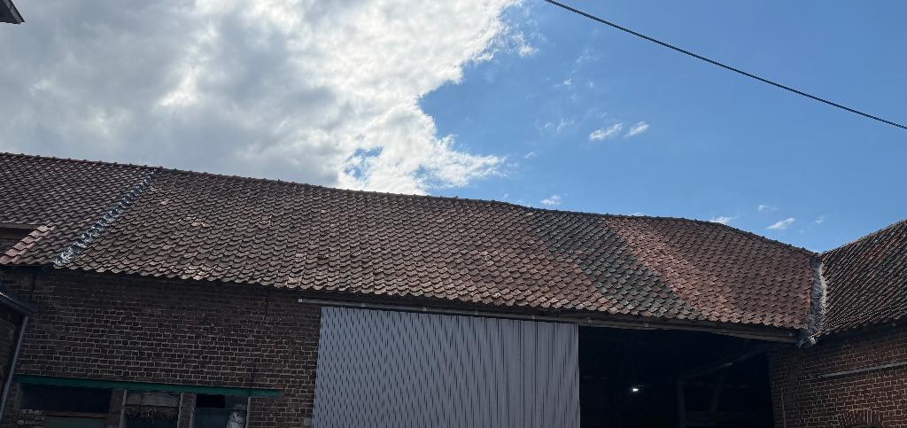 Boomse pannen - groot lot (550m2), Ophalen, Gebruikt, Steen of Klei, 15 m² of meer