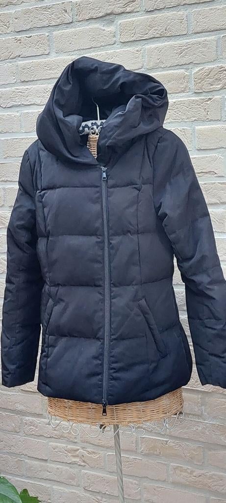 Jas maat 38 hallhuber, Kleding | Dames, Maat 38/40 (M), Overige kleuren, Ophalen of Verzenden, Zo goed als nieuw