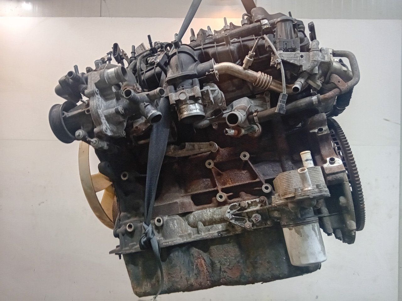 Motor Ford Transit, Onderdelen@venauto.nl, Van der Ven Autorecycling B.V., Gebruikt, Ettenseweg 76, 4706 PB Roosendaal, The Netherlands