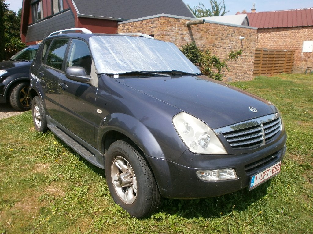 ssang young rexston lichte vracht mercedes motor, Stof, Blauw, 1960 kg, 3500 kg