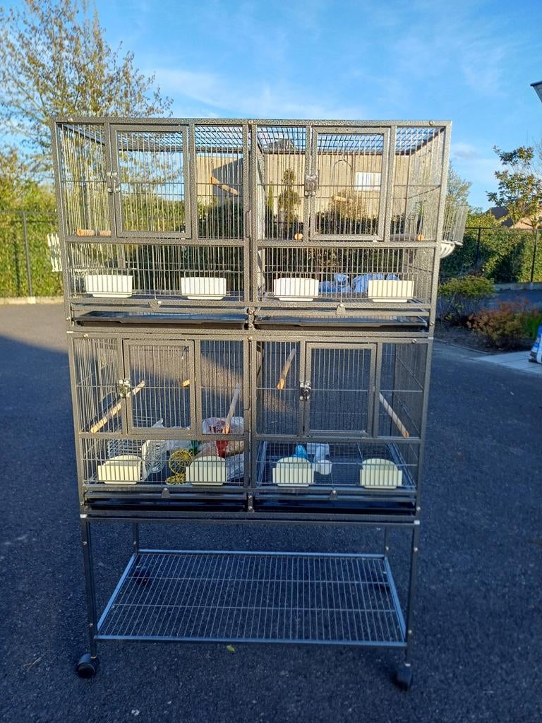 Vogel- en kweekkooi, Dieren en Toebehoren, Vogels | Hokken en Kooien, Ophalen
