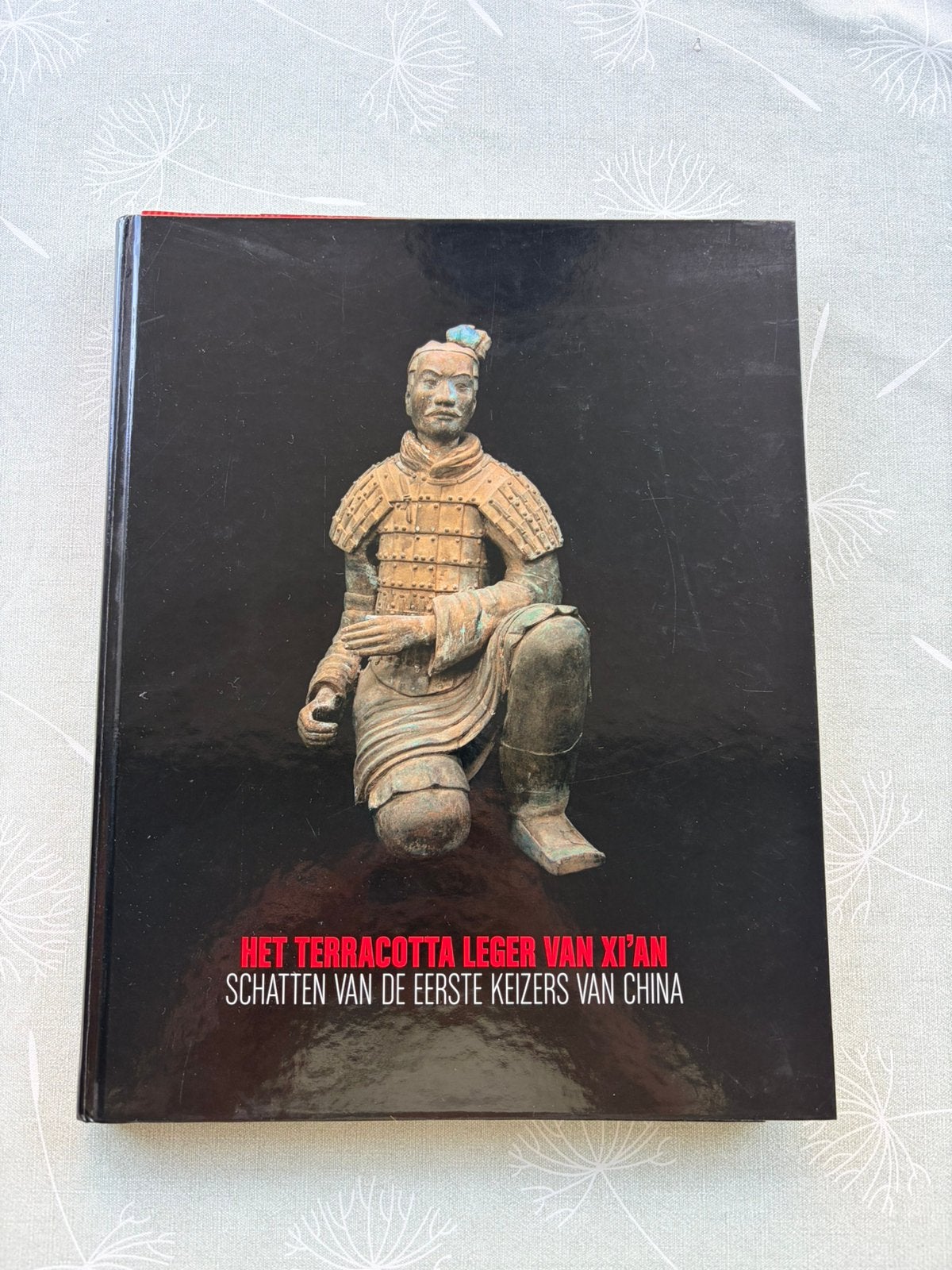 Boek Het terracotta leger van Xi'an, Benoït Mater, 14e eeuw of eerder, Overige gebieden, Ophalen of Verzenden