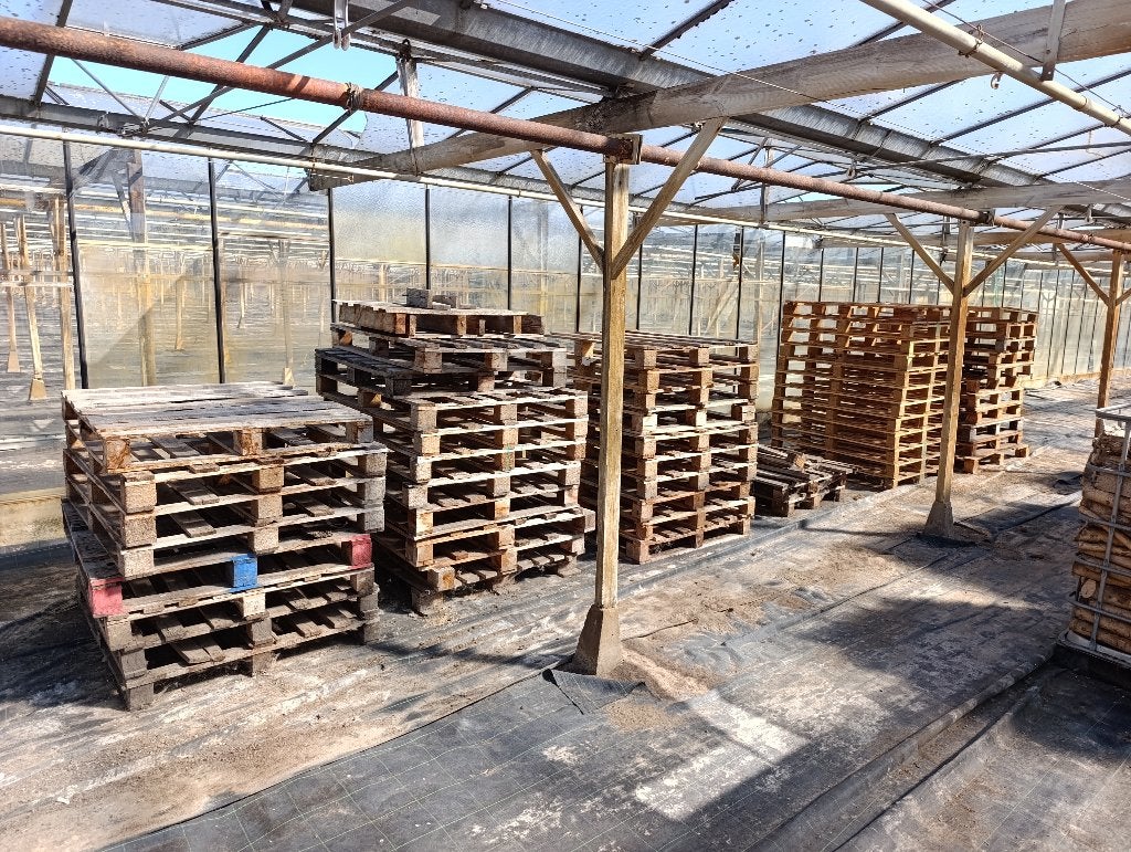 houten paletten, 6 m³ of meer, Ophalen, Overige houtsoorten, Blokken