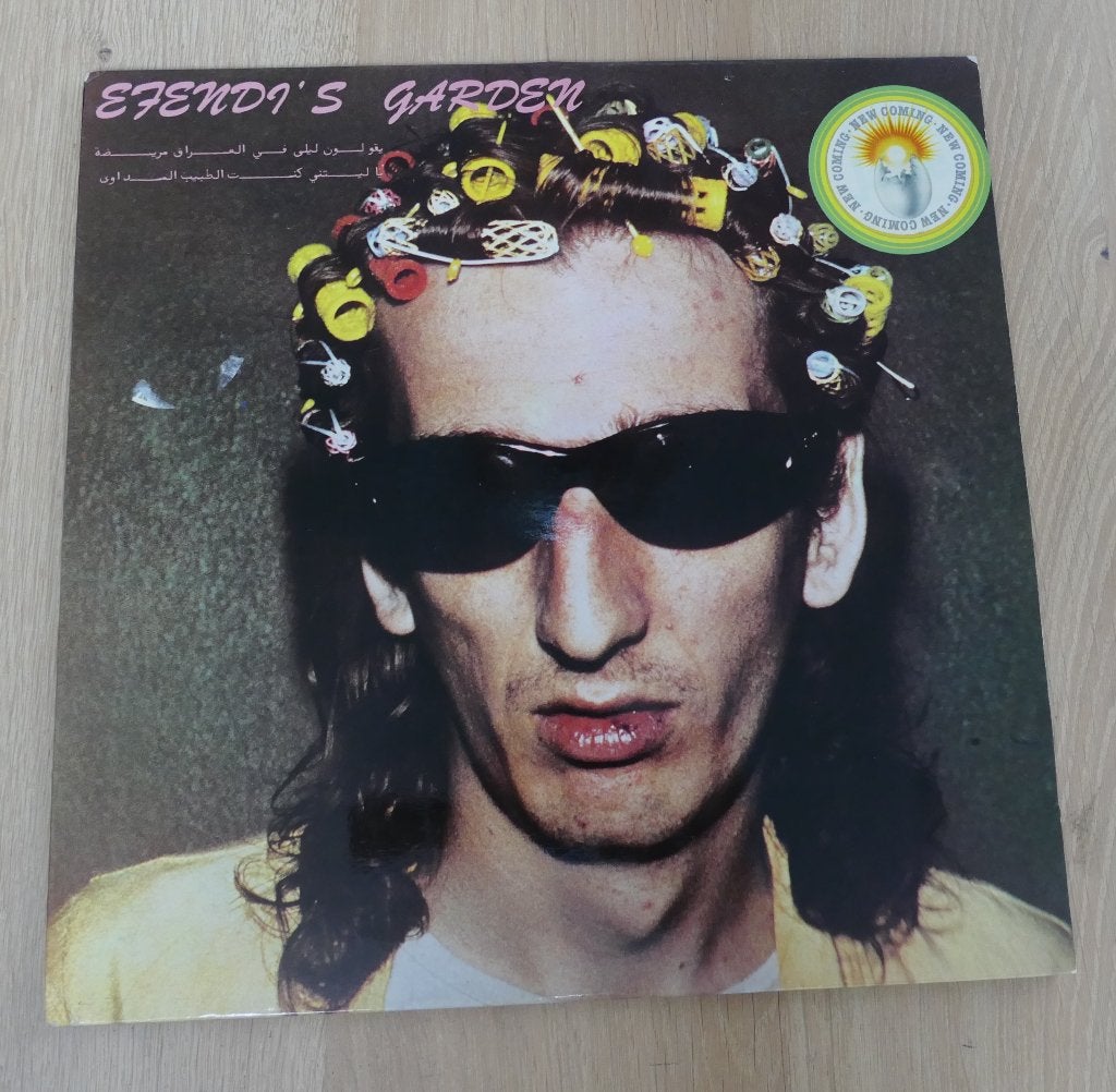LP Efendi's Garden – Efendi's Garden, Cd's en Dvd's, LP, Gebruikt, Ophalen of Verzenden, Indie Rock