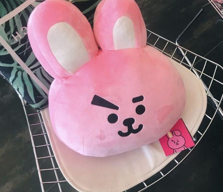Bt21 cooky kussen, Kinderen en Baby's, Speelgoed | Knuffels en Pluche, Ophalen