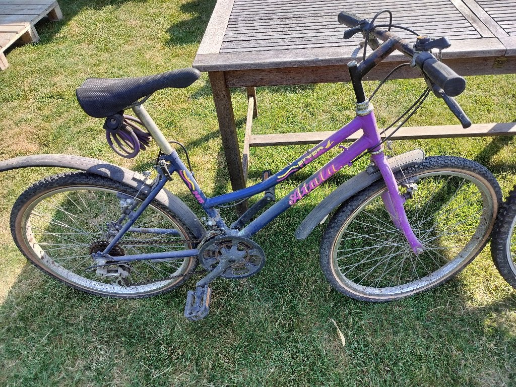 Donne deux vélos, Enlèvement