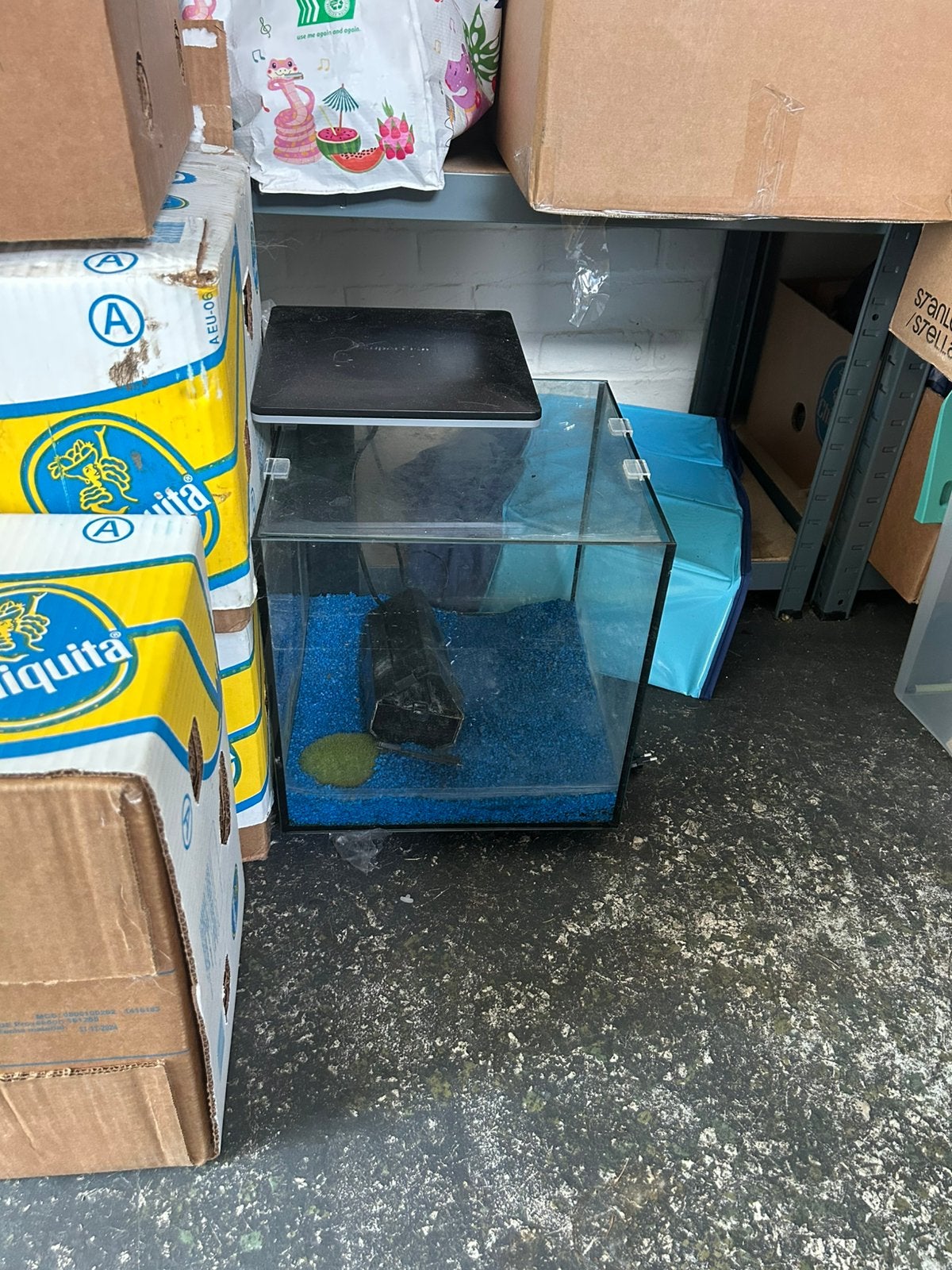 Aquarium in perfecte staat en met veel extras, Divers, Enlèvement, Utilisé