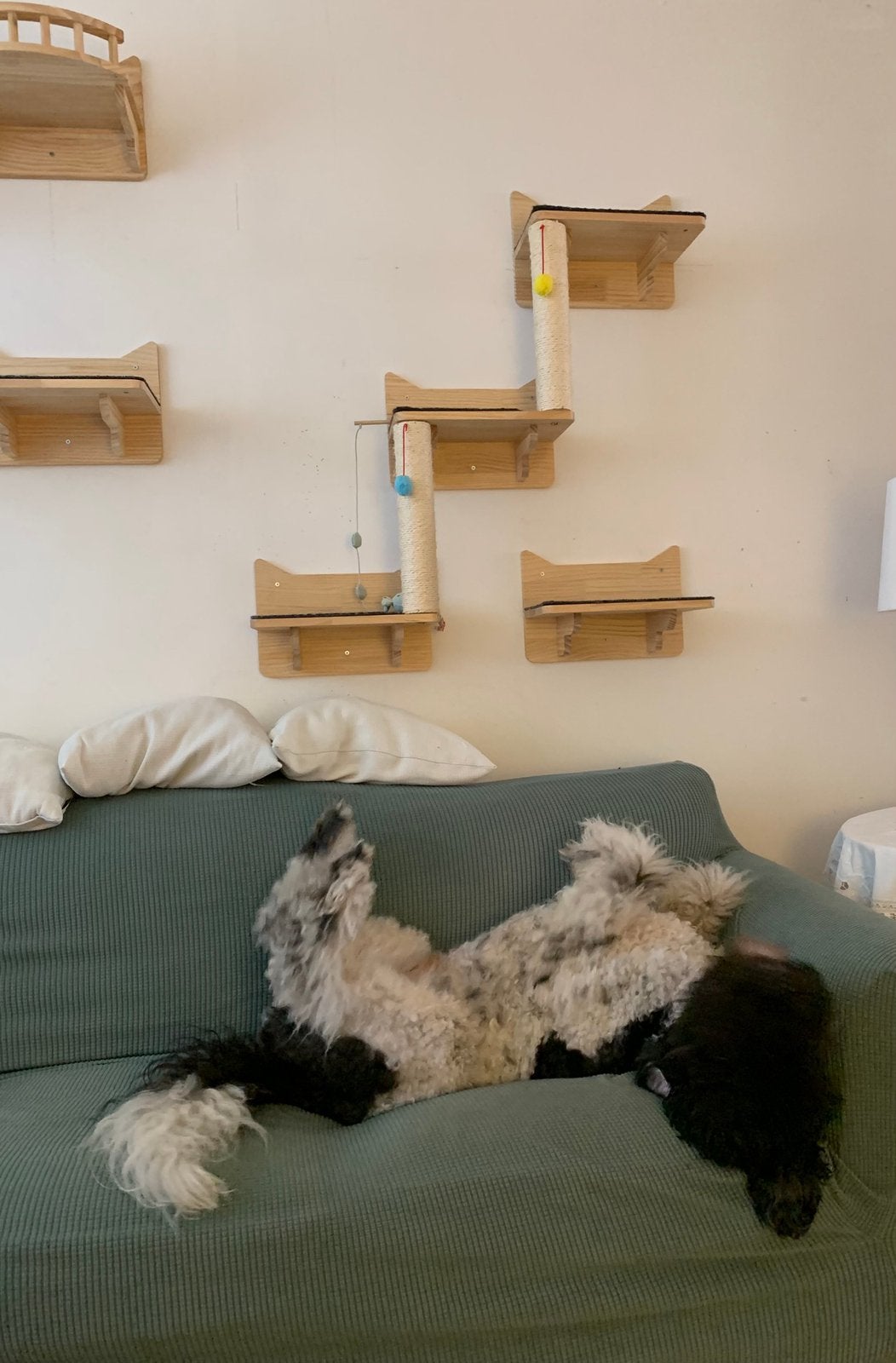 Étagères murales pour chats, Enlèvement, Comme neuf