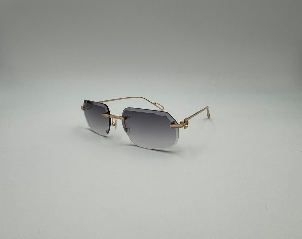 Lunettes de vue Cartier CT, Bijoux, Sacs & Beauté, Lunettes de Soleil & Lunettes | Hommes, Neuf, Autres marques, Enlèvement ou Envoi