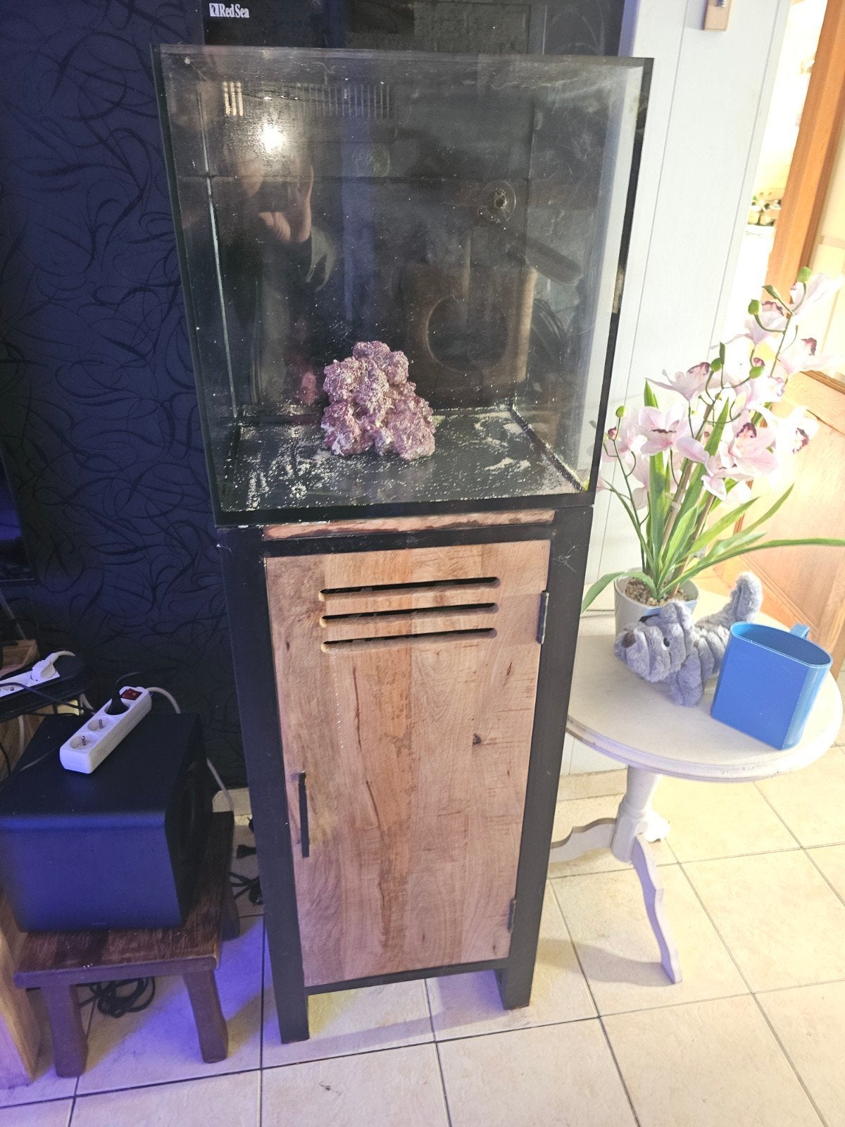red sea aquarium met kastje, Animaux & Accessoires, Poisson, Poisson de mer