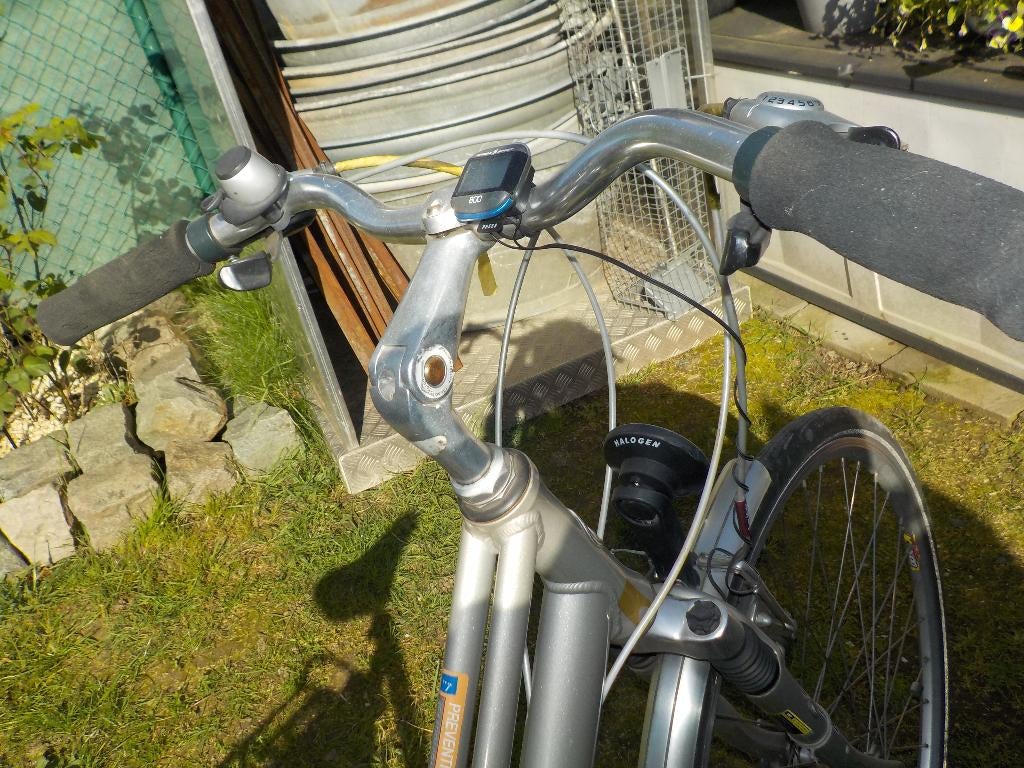 Damesfiets Giant, Enlèvement, Giant