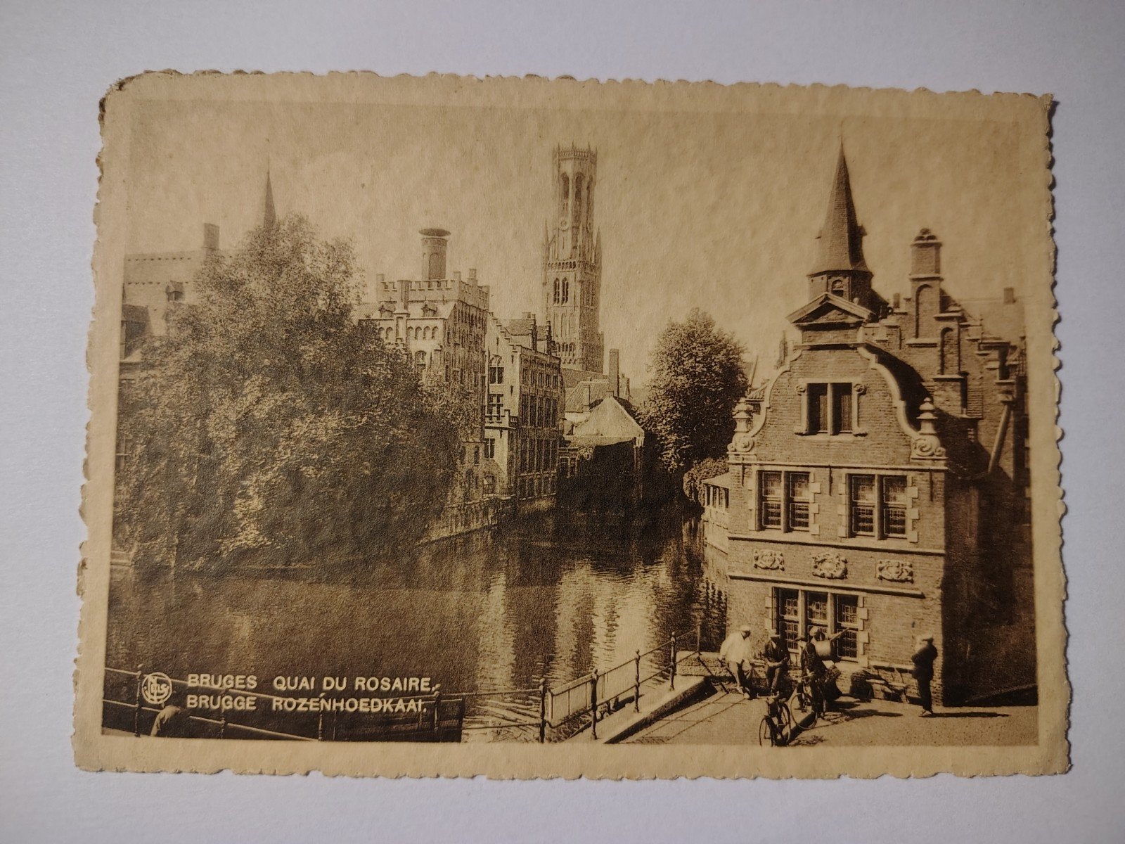 Brugge Rozenhoedkraai., Ophalen of Verzenden