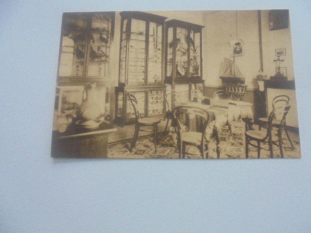 zele-kostschool zusters van O.L.V.-museum, Enlèvement ou Envoi, 1920 à 1940, Non affranchie, Flandre Orientale