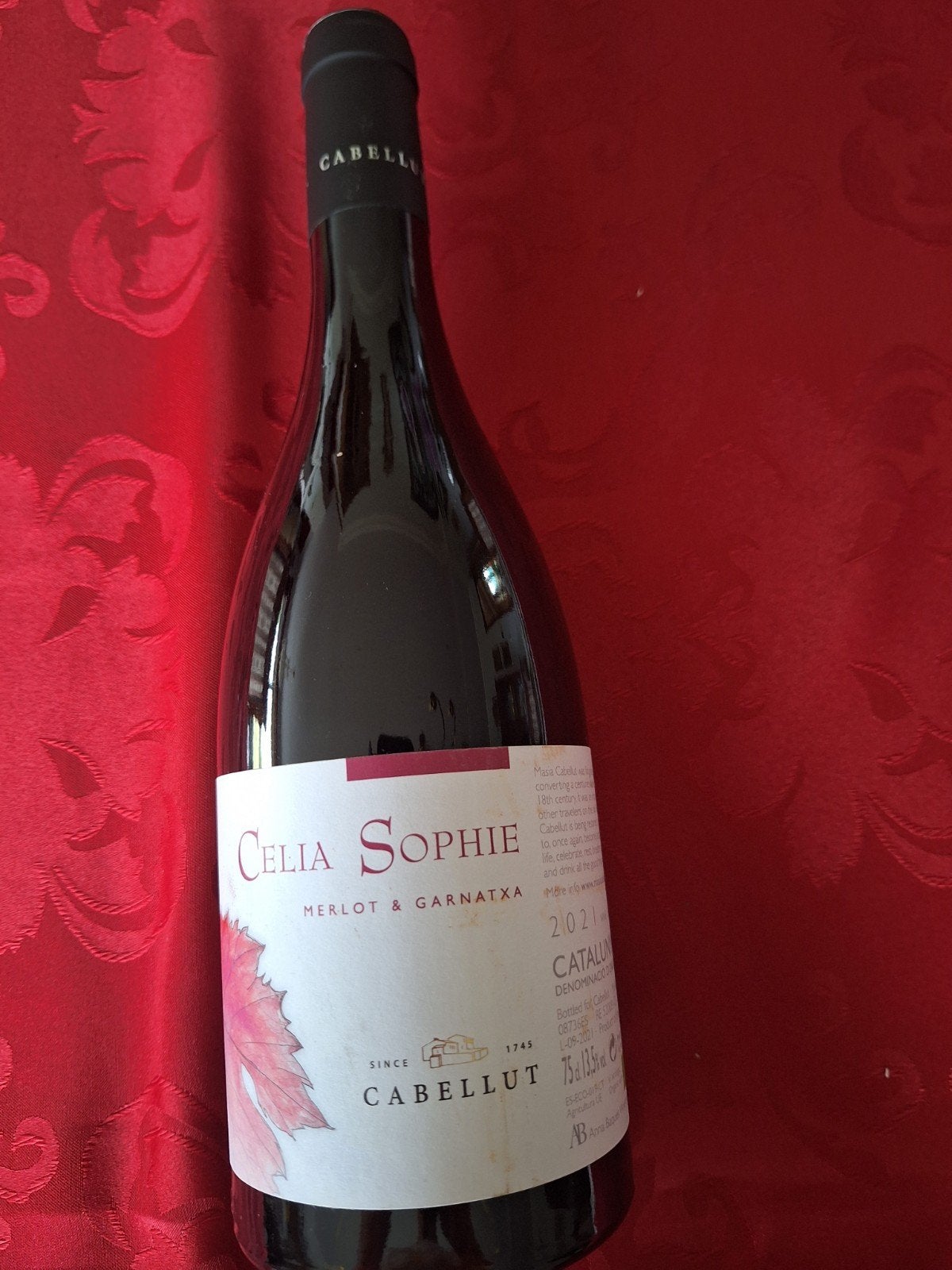 vin rouge Merlot et Garnatxa,2021 origine Espagne- Catalogne, Collections, Neuf, Pleine, Enlèvement, Vin rouge
