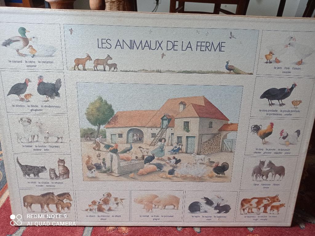 Posters Junior encadrés : Alphabet et Animaux de la Ferme, Enlèvement, Utilisé, Décoration murale