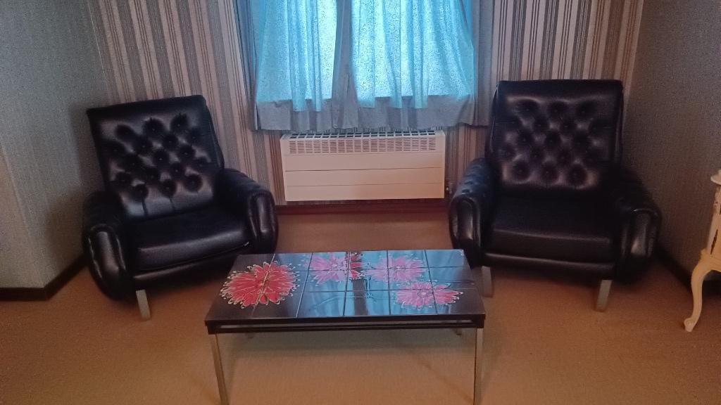 2 Retro zetels, Ophalen, Huis en Inrichting