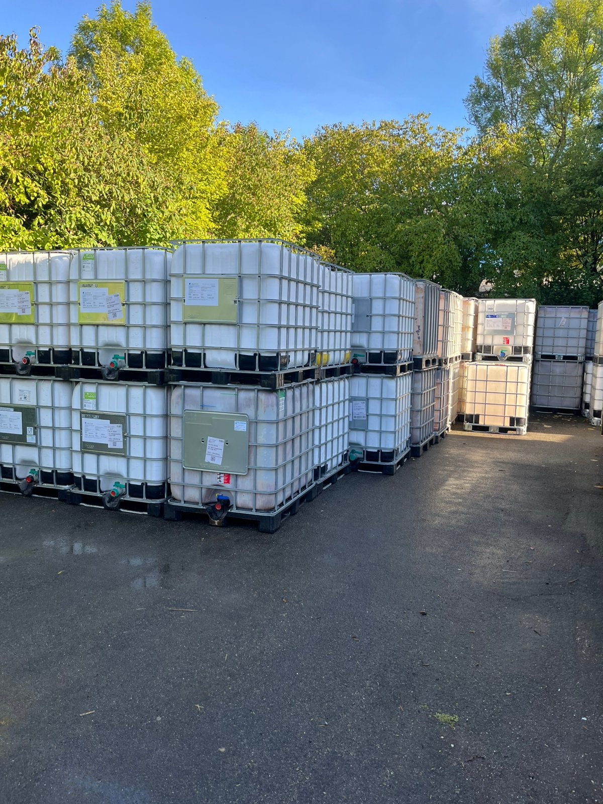 IBC vat 1000L, Ophalen, Kunststof, Met kraantje, 150 liter of meer