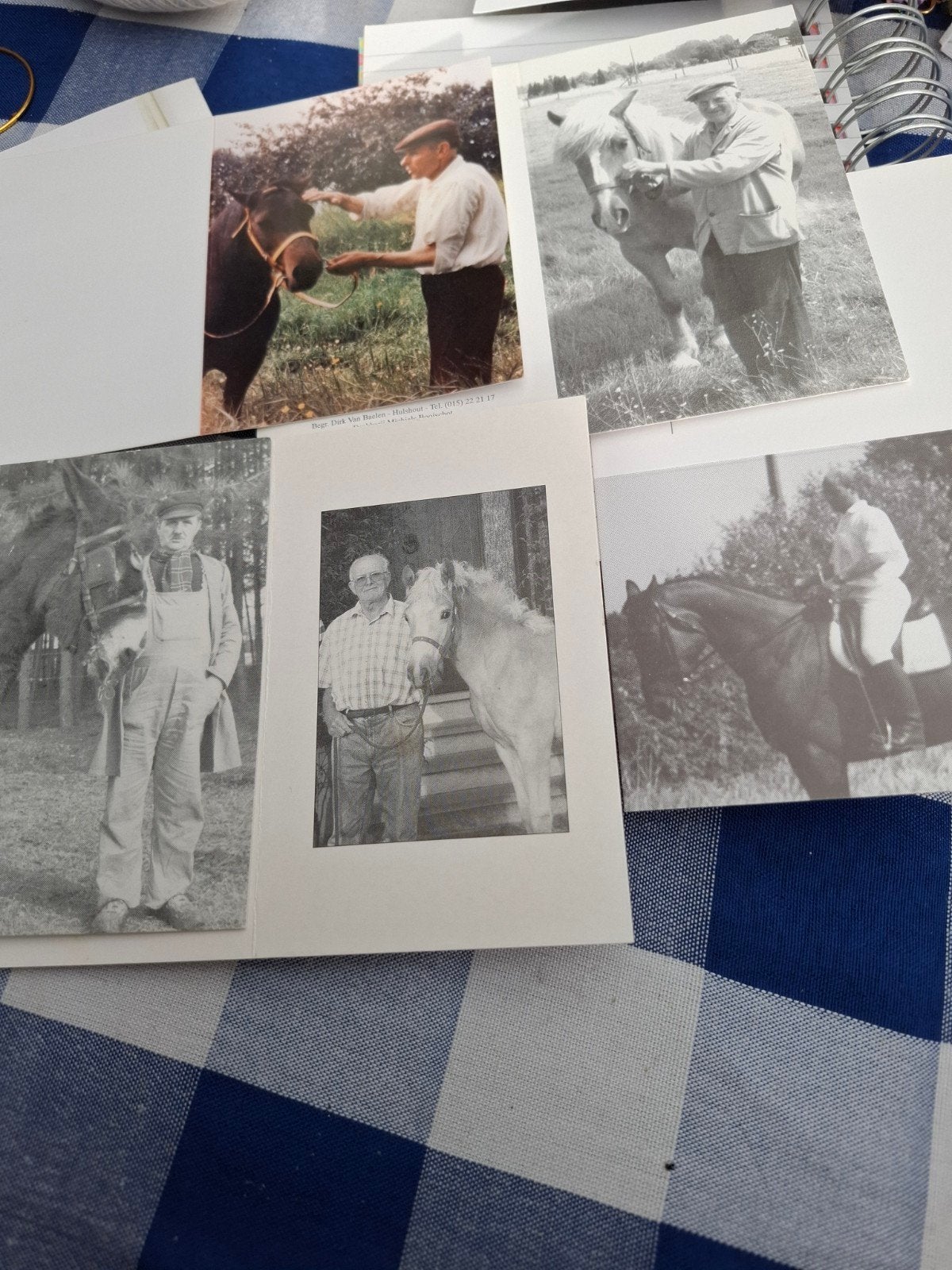 5 bidprentjes met paard, Enlèvement ou Envoi