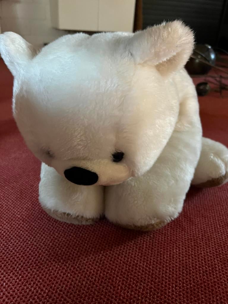 Grote ijsbeer, 75 cm lang, Ophalen, Zo goed als nieuw, Beer, Middelgroot (20 tot 80 cm)