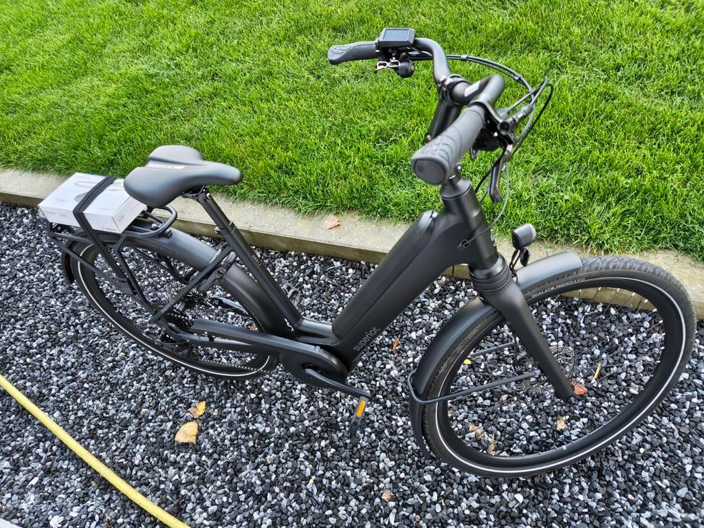 Superior e-bike Bosch Performance line 75Nm, Ophalen