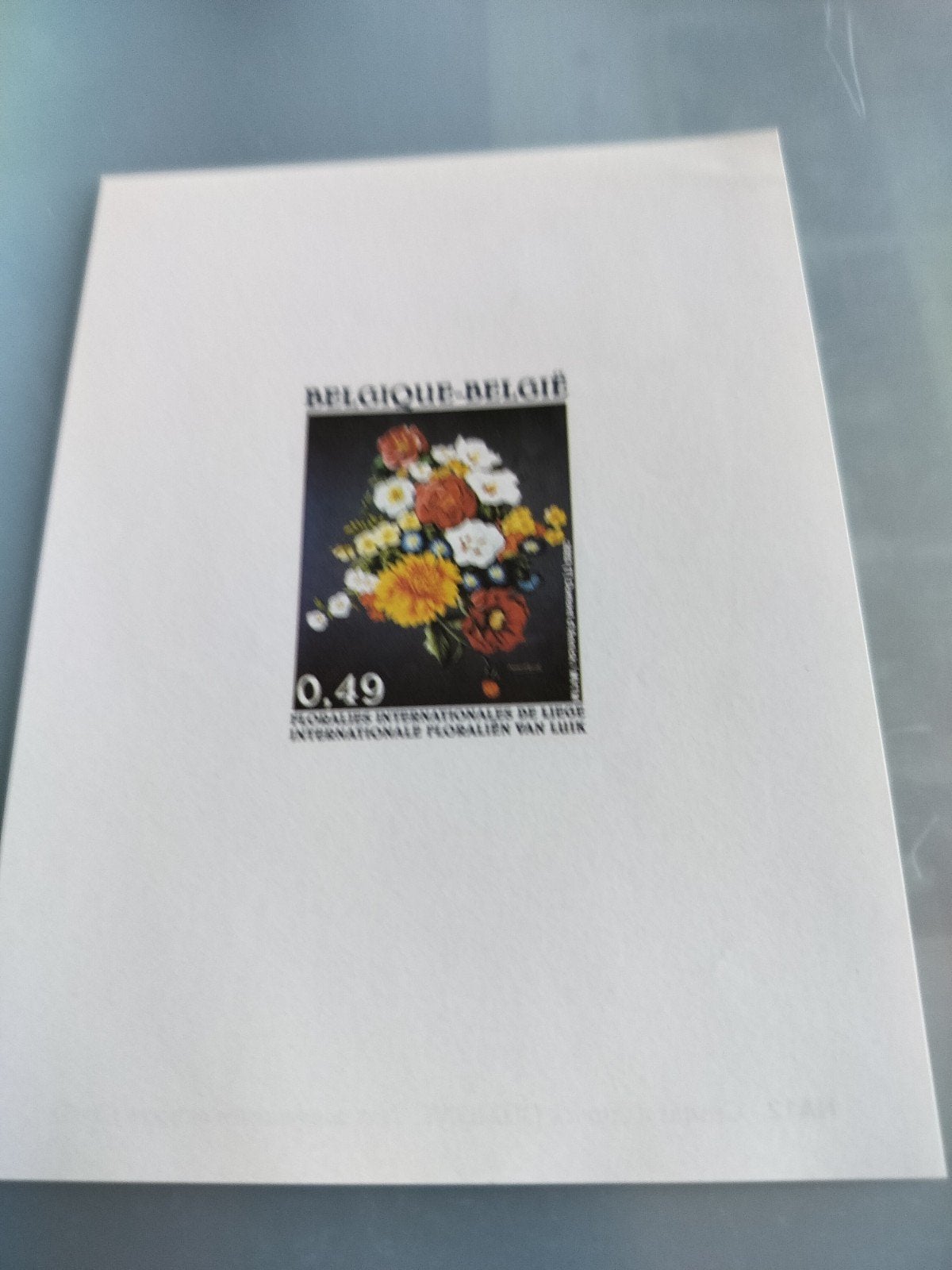 Niet aangenomen ontwerp NA 12 floralien Luik 2003 NL, Postzegels en Munten, Verzenden