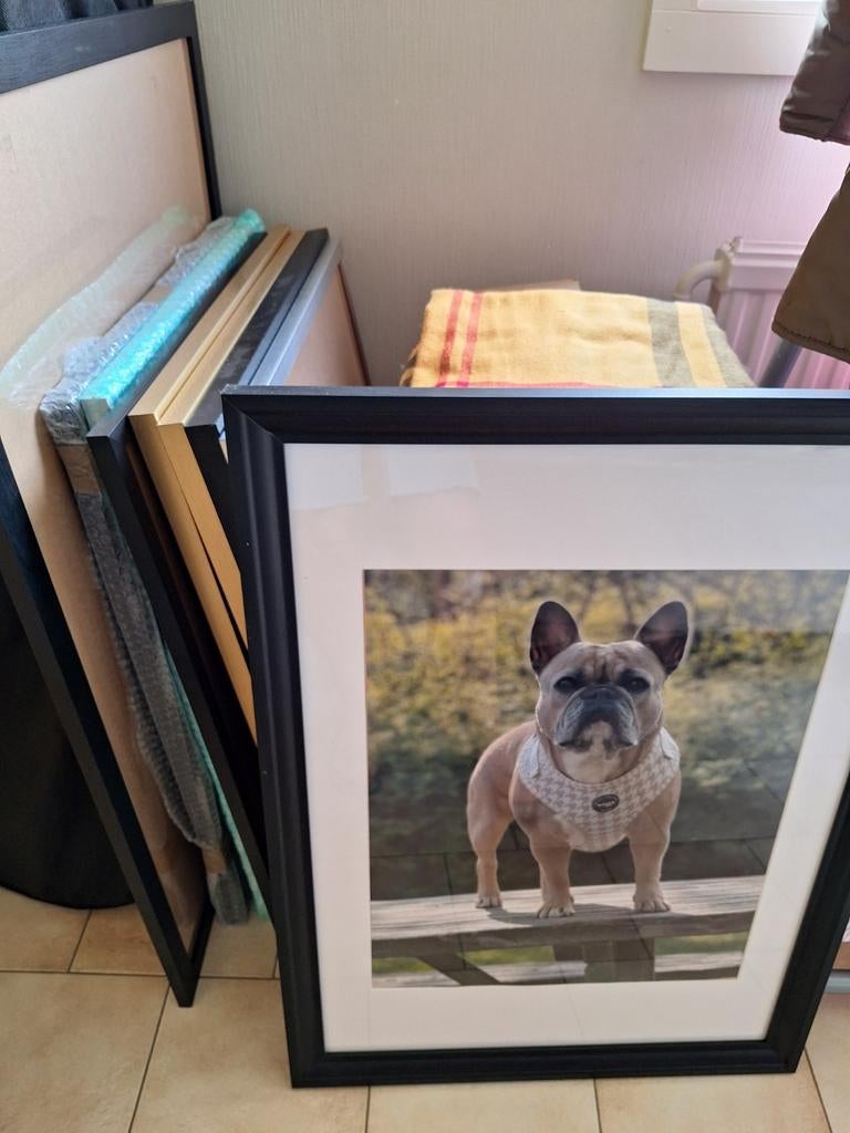 Veel grote kaders, lijsten, hond 78 op 57, Maison & Meubles, Accessoires pour la Maison | Cadres, Enlèvement
