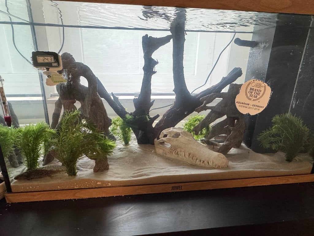 Aquarium 125l, Ophalen, Verwarming, Nieuw, Leeg aquarium